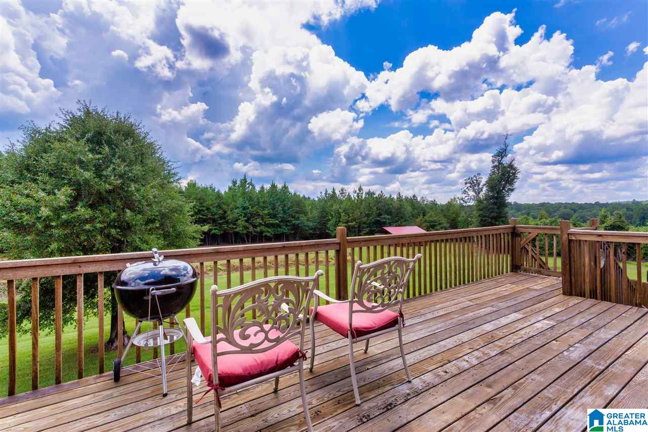 14183 Milldale Road Brookwood, AL 35444 - Photo 38 of 47