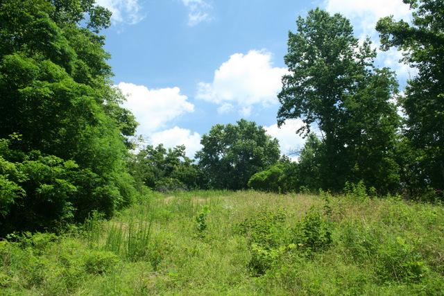 0 Hill Town Road Santa Fe, TN 38482 - Photo 2 of 20