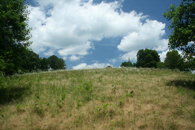 0 Hill Town Road Santa Fe, TN 38482 - Photo 7 of 20