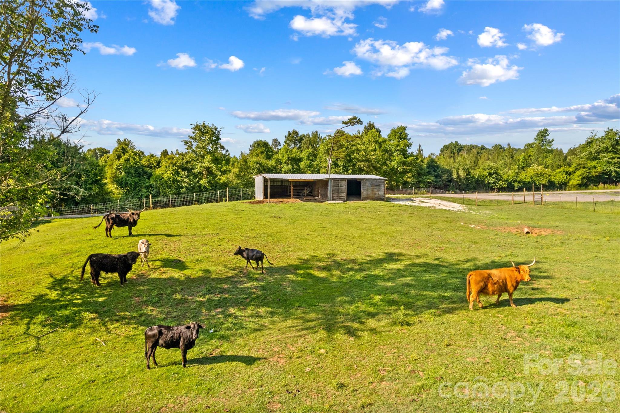 1124 Majolica Road Salisbury, NC 28147 - Photo 7 of 47