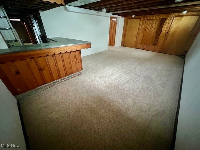 1349 Meister Road Lorain, OH 44053 - Photo 26 of 27 Finished basement with bat