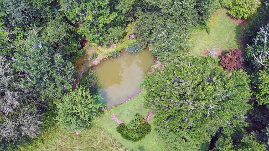 475 Rivercane Road Brasstown, NC 28902 - Photo 71 of 71