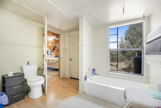 a view of a forest with trees