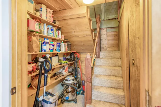 a view of a city with lush green forest