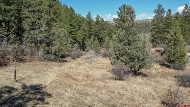 $489,900 | 482 County Road 917, Pagosa Springs, CO 81147