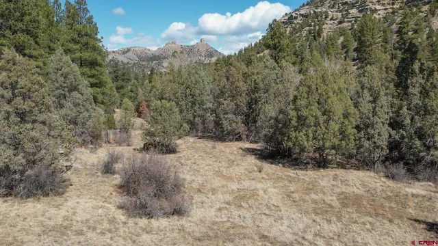 $489,900 | 482 County Road 917, Pagosa Springs, CO 81147