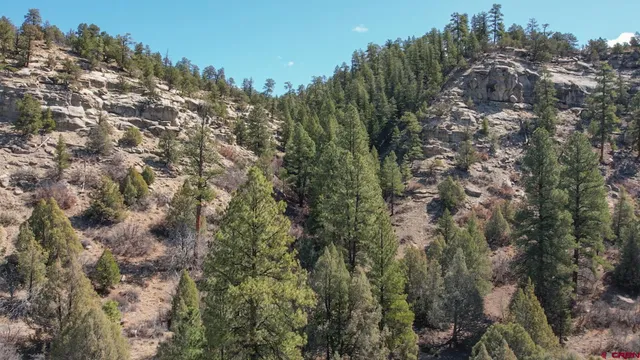 $489,900 | 482 County Road 917, Pagosa Springs, CO 81147