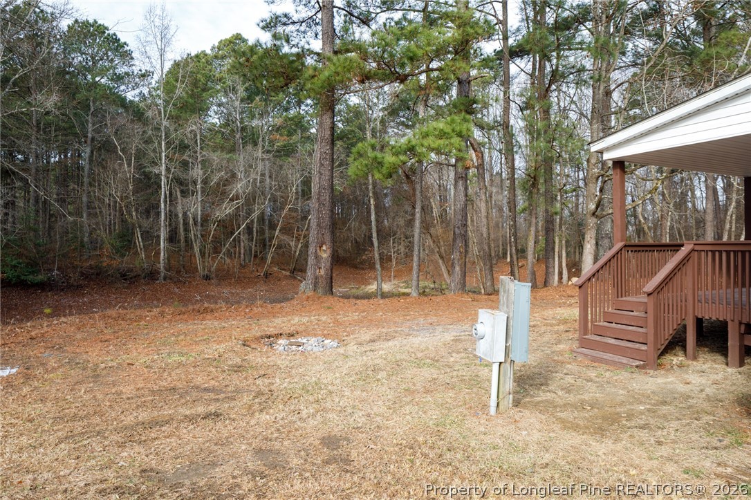 653 Lower River Road Broadway, NC 27505 - Photo 21 of 31