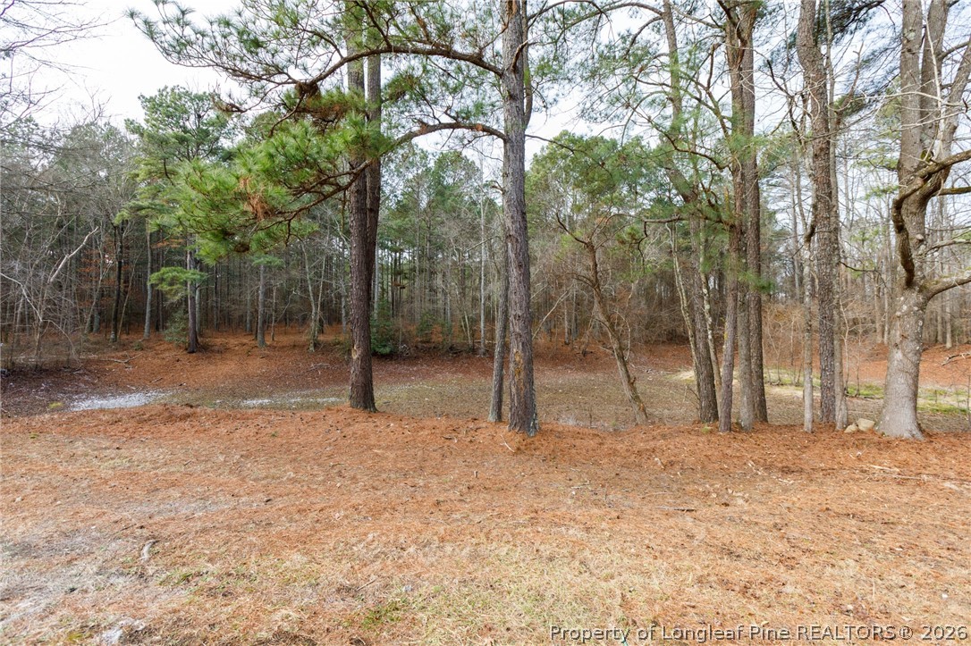 653 Lower River Road Broadway, NC 27505 - Photo 22 of 31