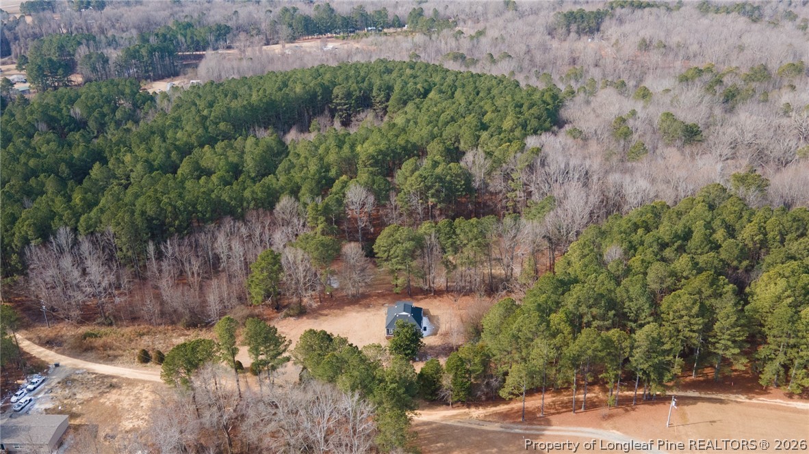 653 Lower River Road Broadway, NC 27505 - Photo 26 of 31