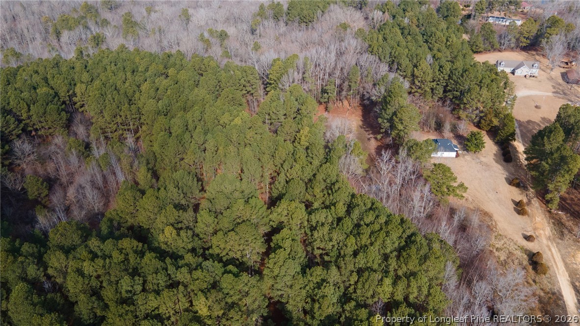 653 Lower River Road Broadway, NC 27505 - Photo 31 of 31