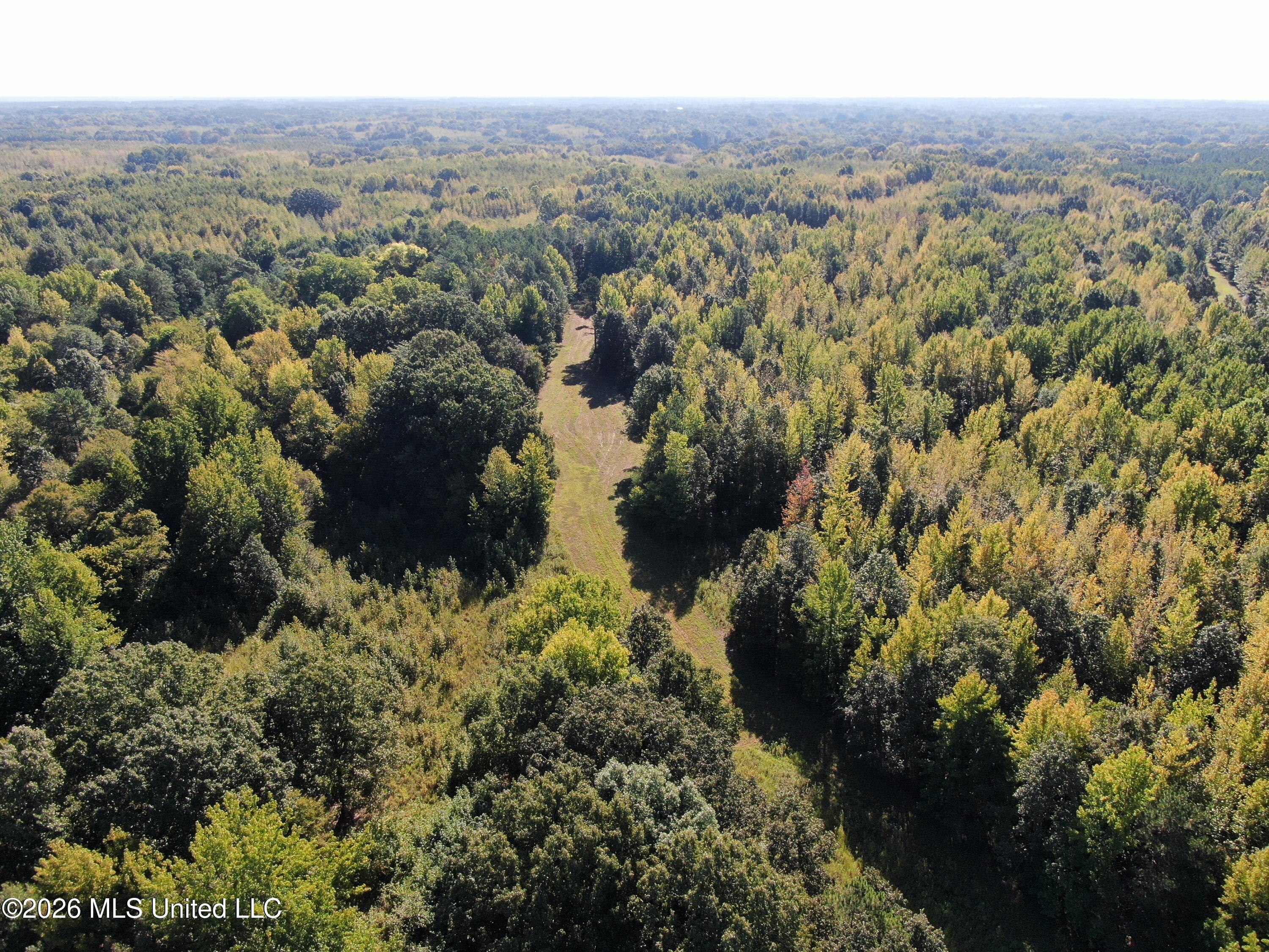 390 Old Panola Road Como, MS 38619 - Photo 5 of 71 DJI_0181