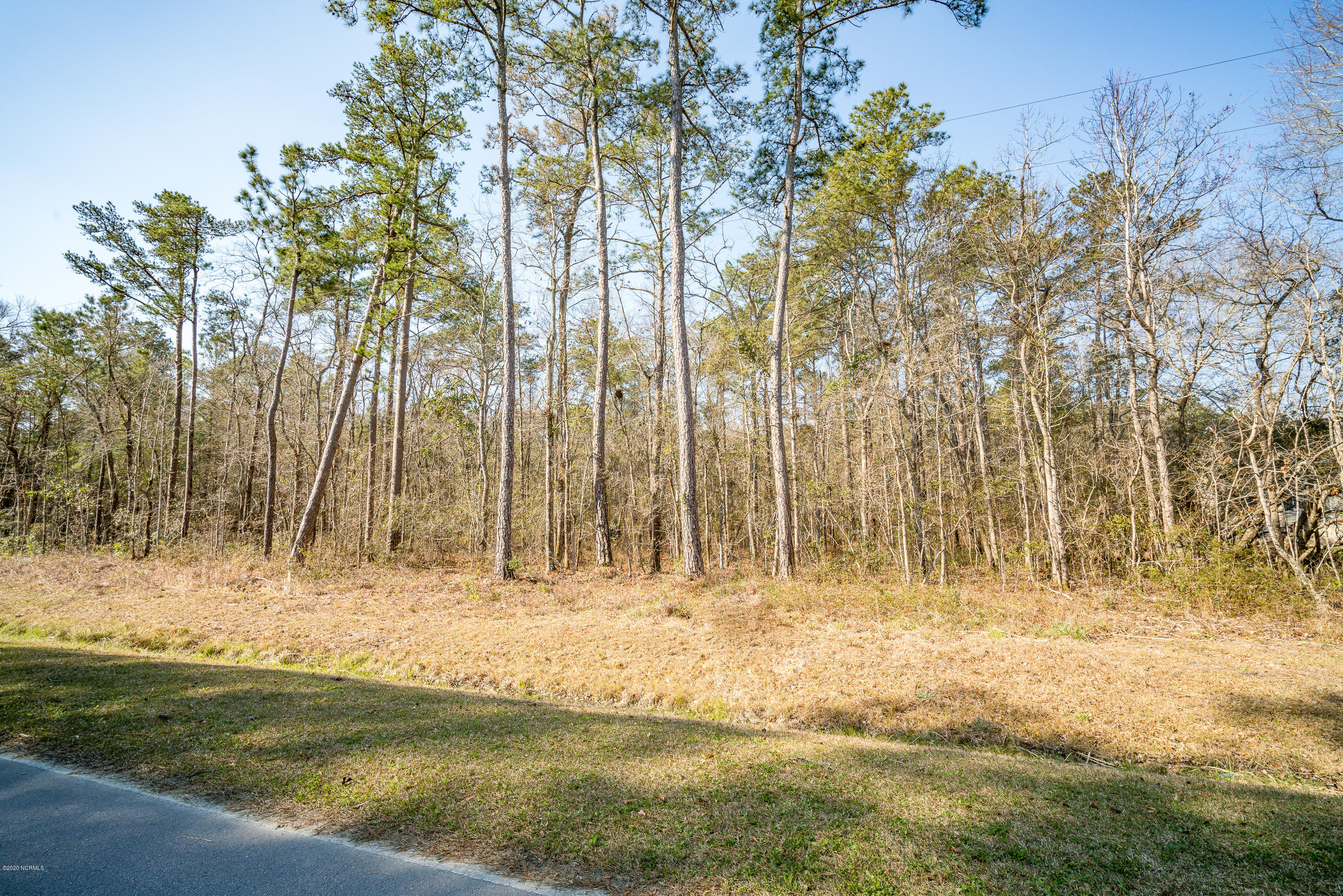 Lot 5-5a State Road Aurora, NC 27806 - Photo 4 of 22 001 (5)