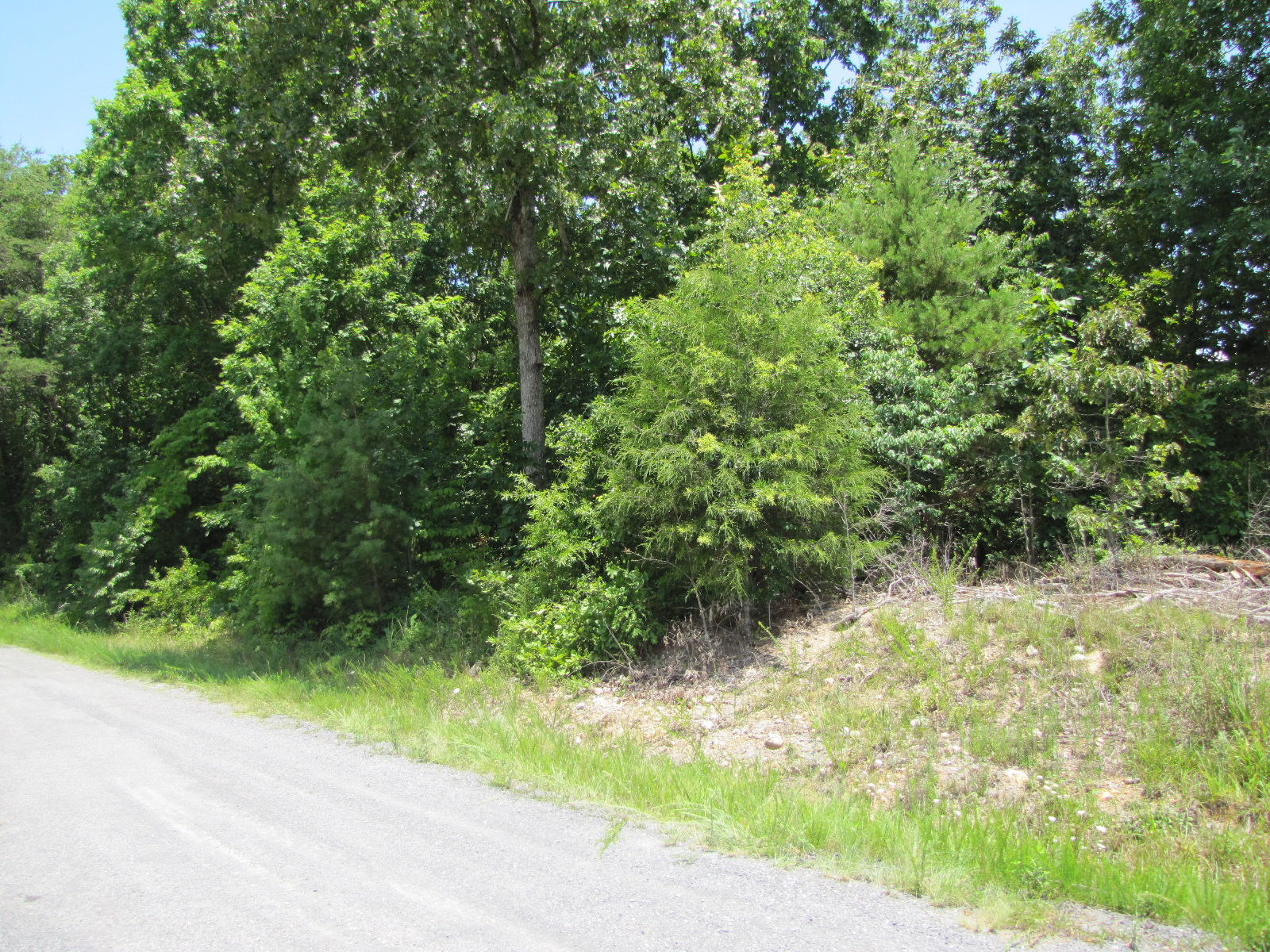 23 Goins Hill Road Tazewell, TN 37879 - Photo 5 of 8 IMG_6460