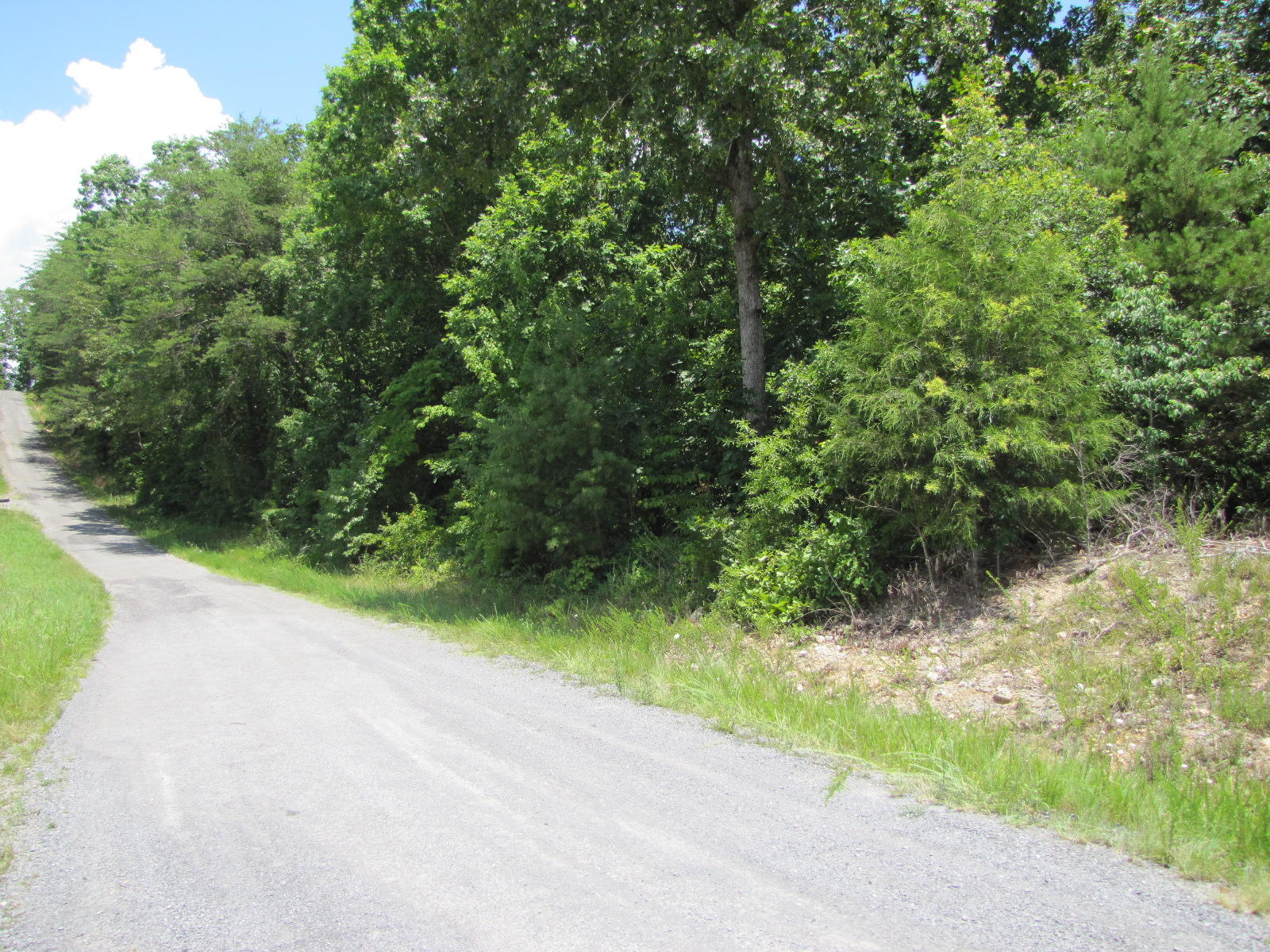 23 Goins Hill Road Tazewell, TN 37879 - Photo 6 of 8 IMG_6461