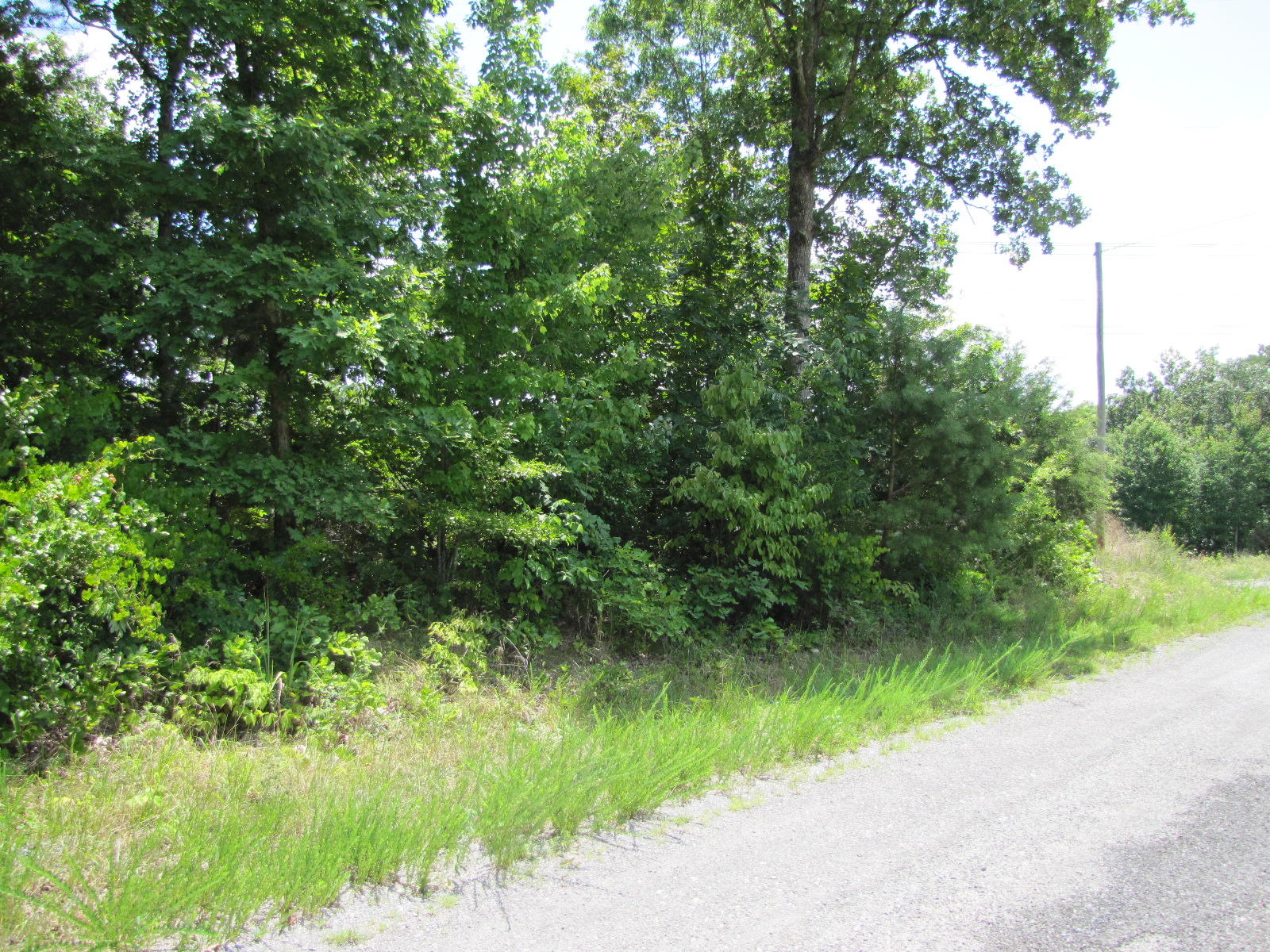23 Goins Hill Road Tazewell, TN 37879 - Photo 7 of 8 IMG_6462