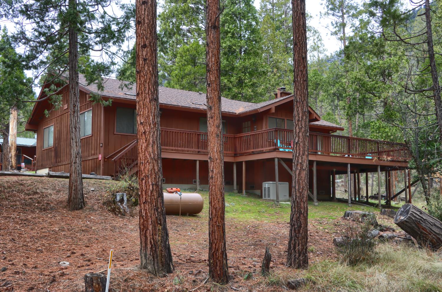 a view of a house with a yard tree and a wooden fence