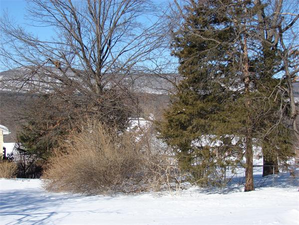 15 Normandy Road South Hadley, MA 01075 - Photo 27 of 29 Gallery Image 27