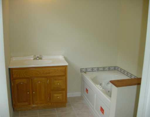 Iron Rock Road Waynesburg, PA 15370 - Photo 4 of 8 Master Bath/Spa.