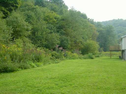 Iron Rock Road Waynesburg, PA 15370 - Photo 5 of 8 Yard/Garden.