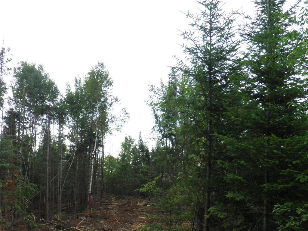 43 Webb Road Oakfield, ME 04763 - Photo 2 of 6 Land