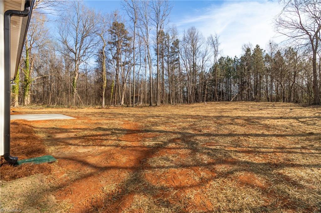 2130 East Holly Grove Road, Unit 1028 Lexington, NC 27292 - Photo 31 of 31
