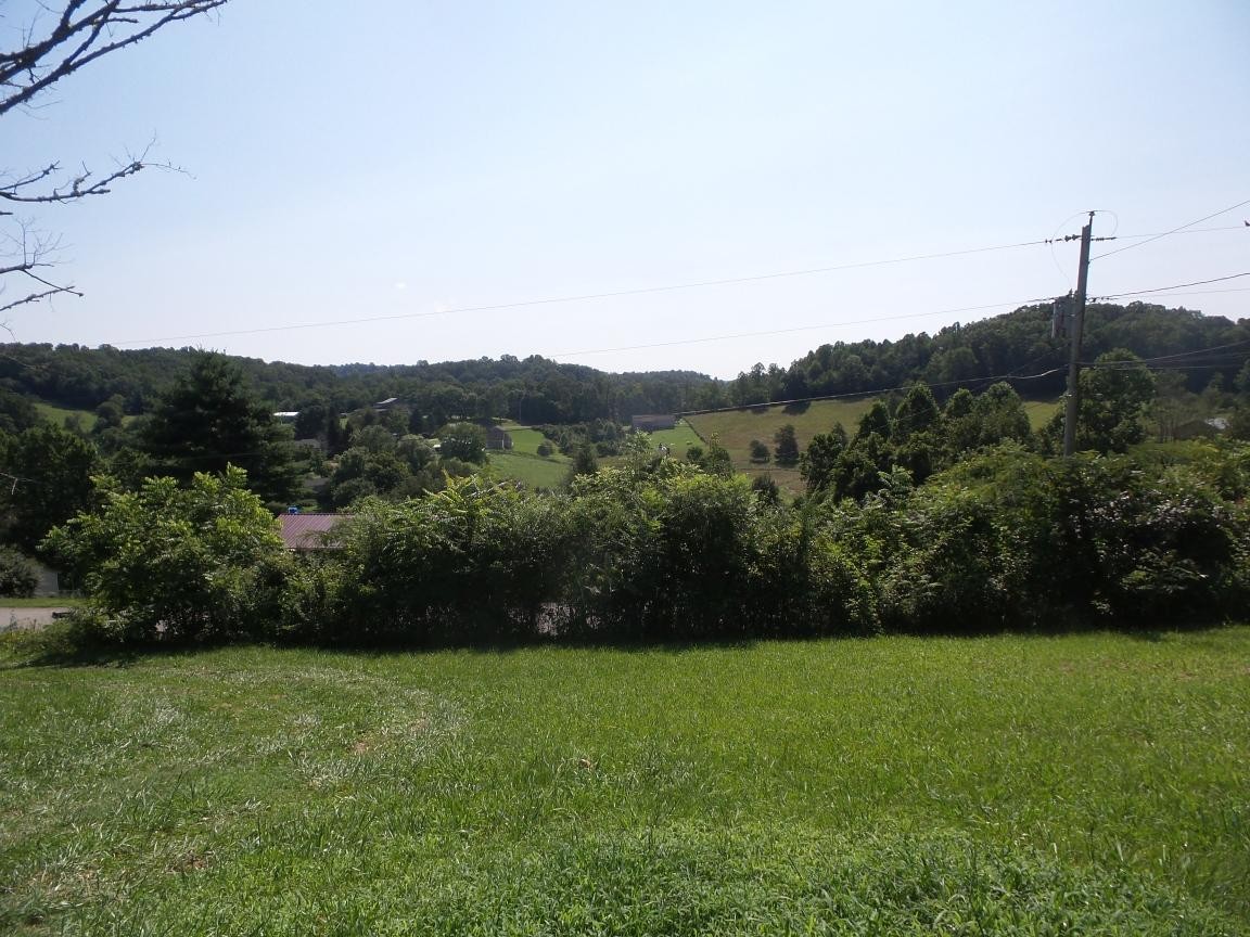 734 Chambers Road Jacksboro, TN 37757 - Photo 4 of 21 Gallery Image 4