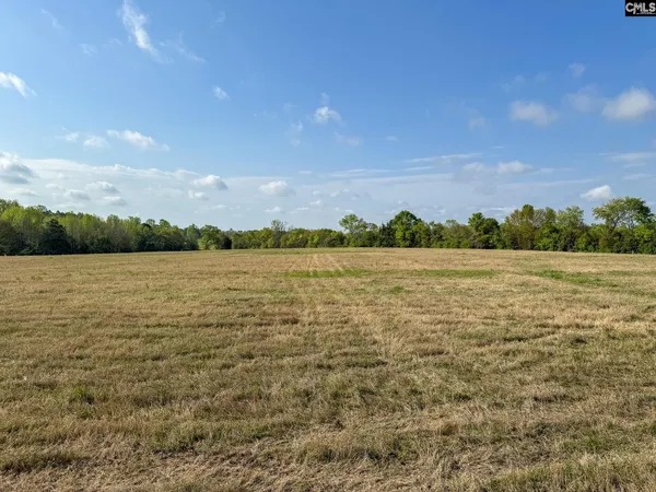 $163,000 | 0 Shealy Road, Unit LOT 3, Batesburg, SC 29006