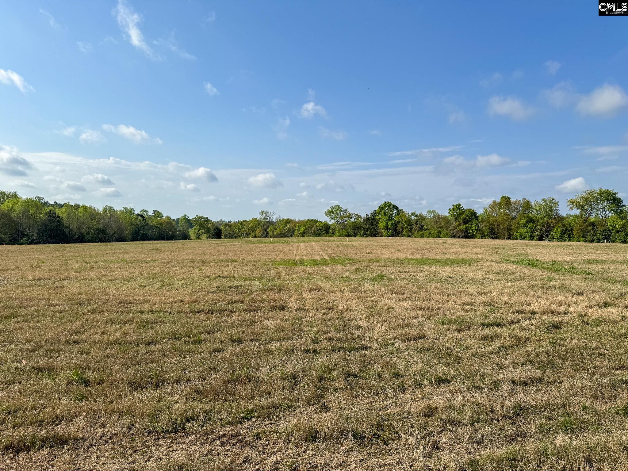 0 Shealy Road, Unit LOT 3 Batesburg, SC 29006 - Photo 1 of 15