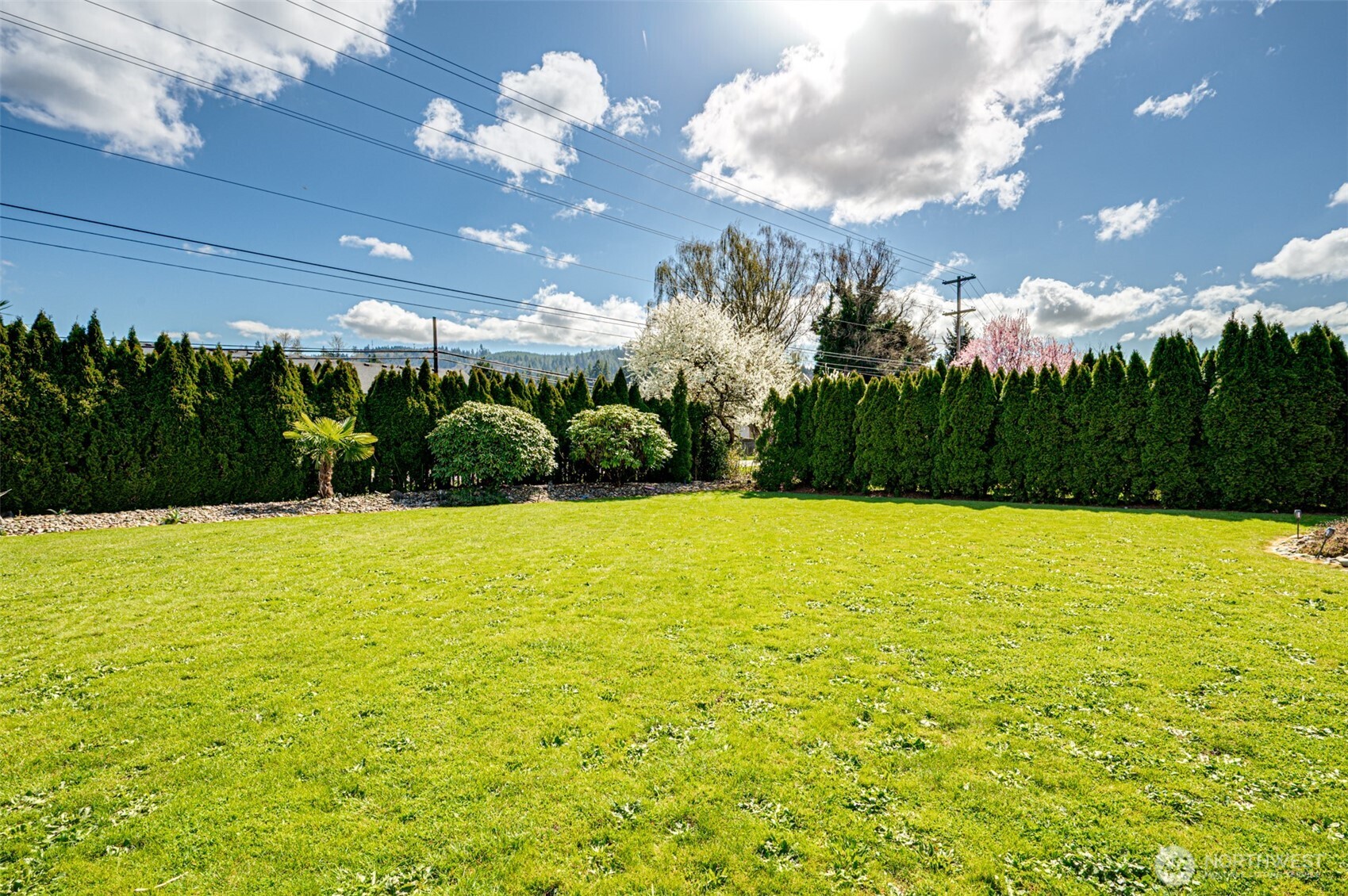 2126 Lewis River Road Woodland, WA 98674 - Photo 14 of 23 a view of swimming pool is middle of the garden