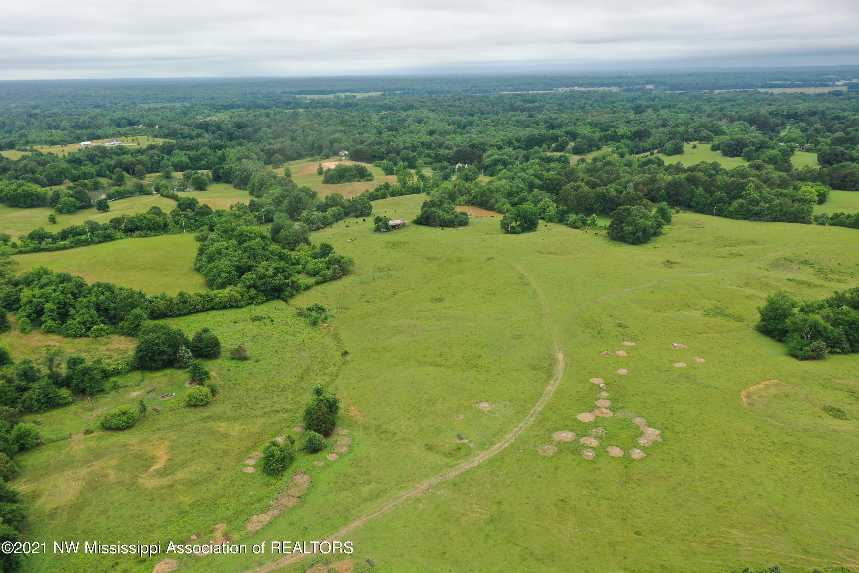 3 Watson Road Byhalia, MS 38611 - Photo 11 of 70 DJI_0367