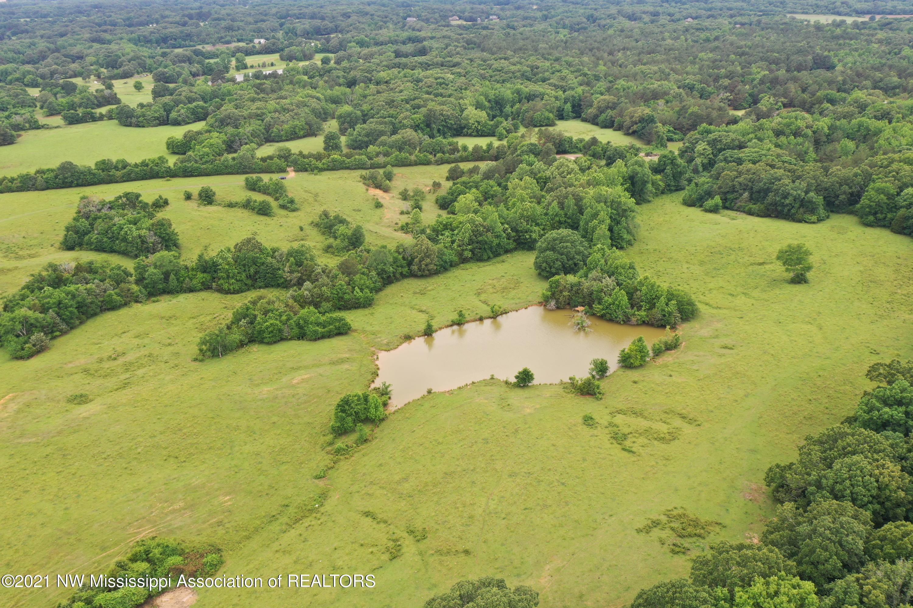 3 Watson Road Byhalia, MS 38611 - Photo 13 of 70 DJI_0369