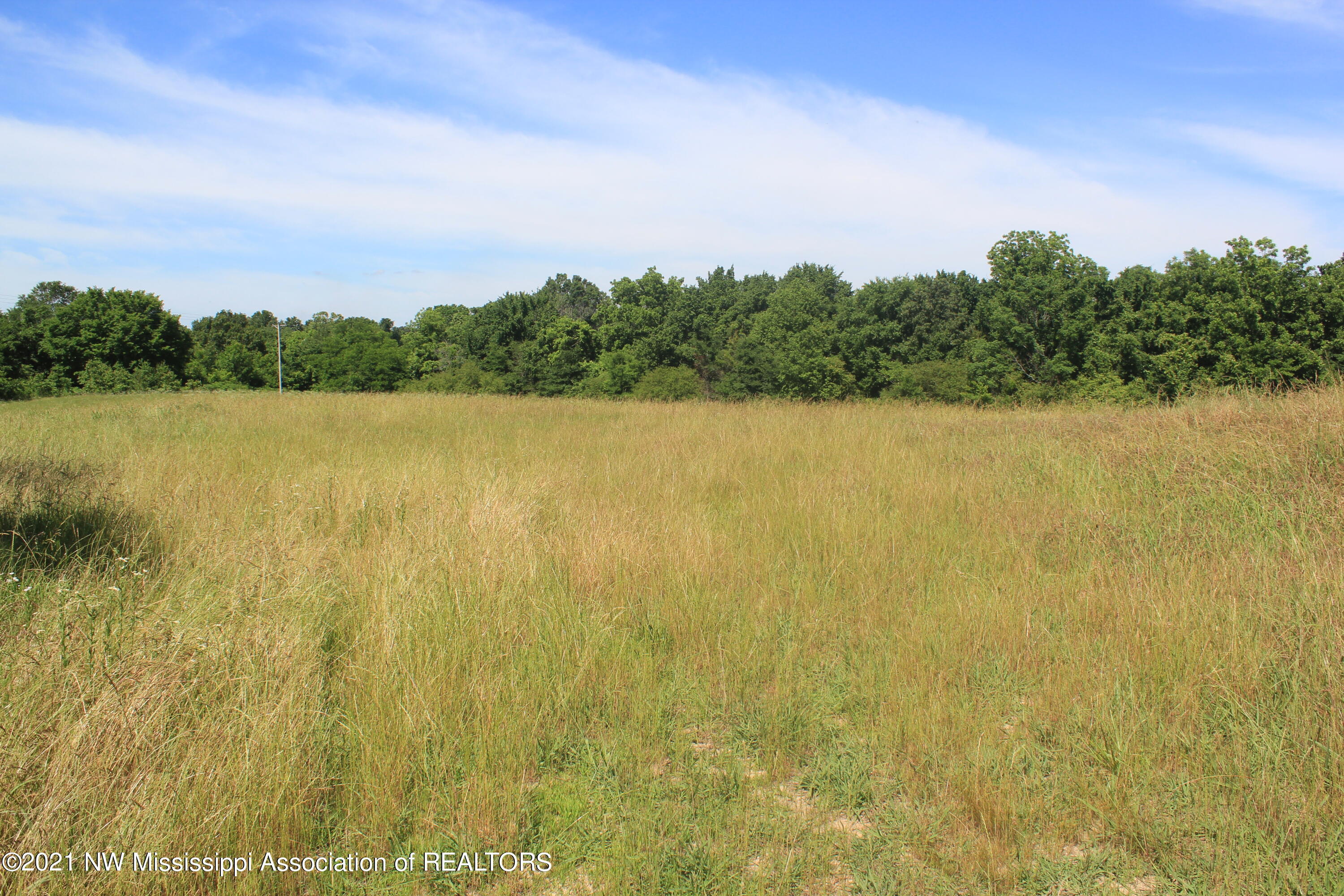 3 Watson Road Byhalia, MS 38611 - Photo 23 of 70 IMG_6710