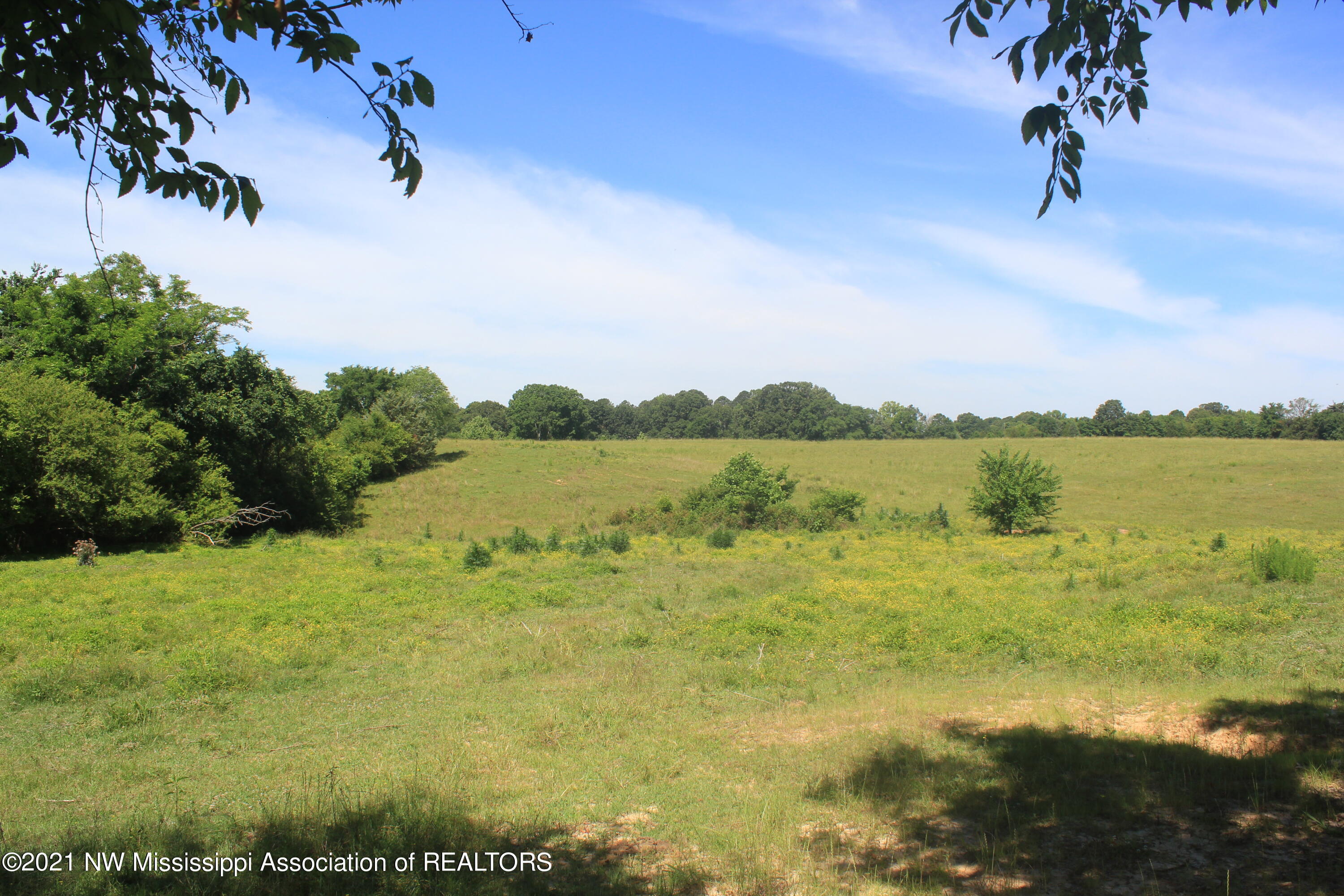 3 Watson Road Byhalia, MS 38611 - Photo 26 of 70 IMG_6713