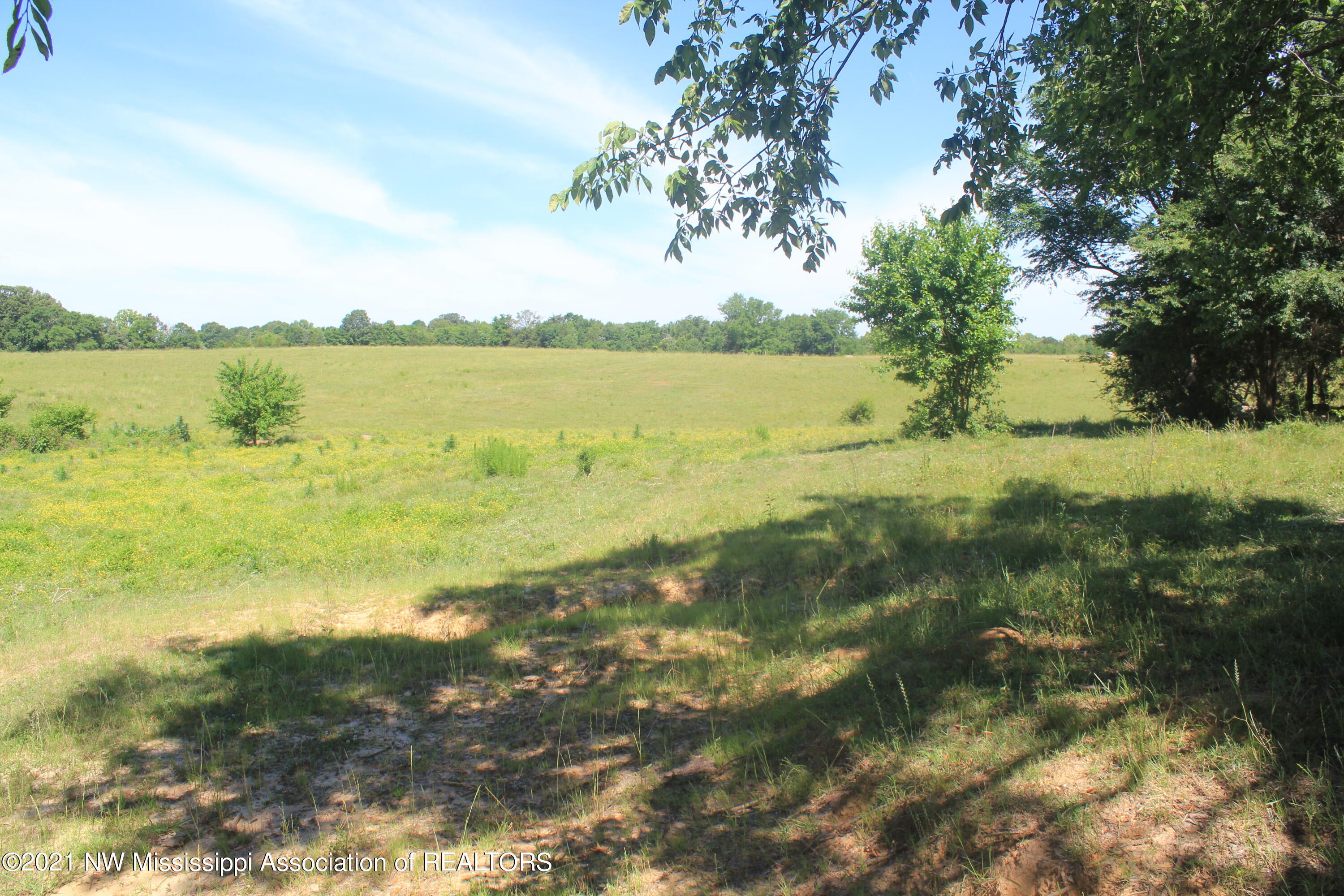 3 Watson Road Byhalia, MS 38611 - Photo 27 of 70 IMG_6714