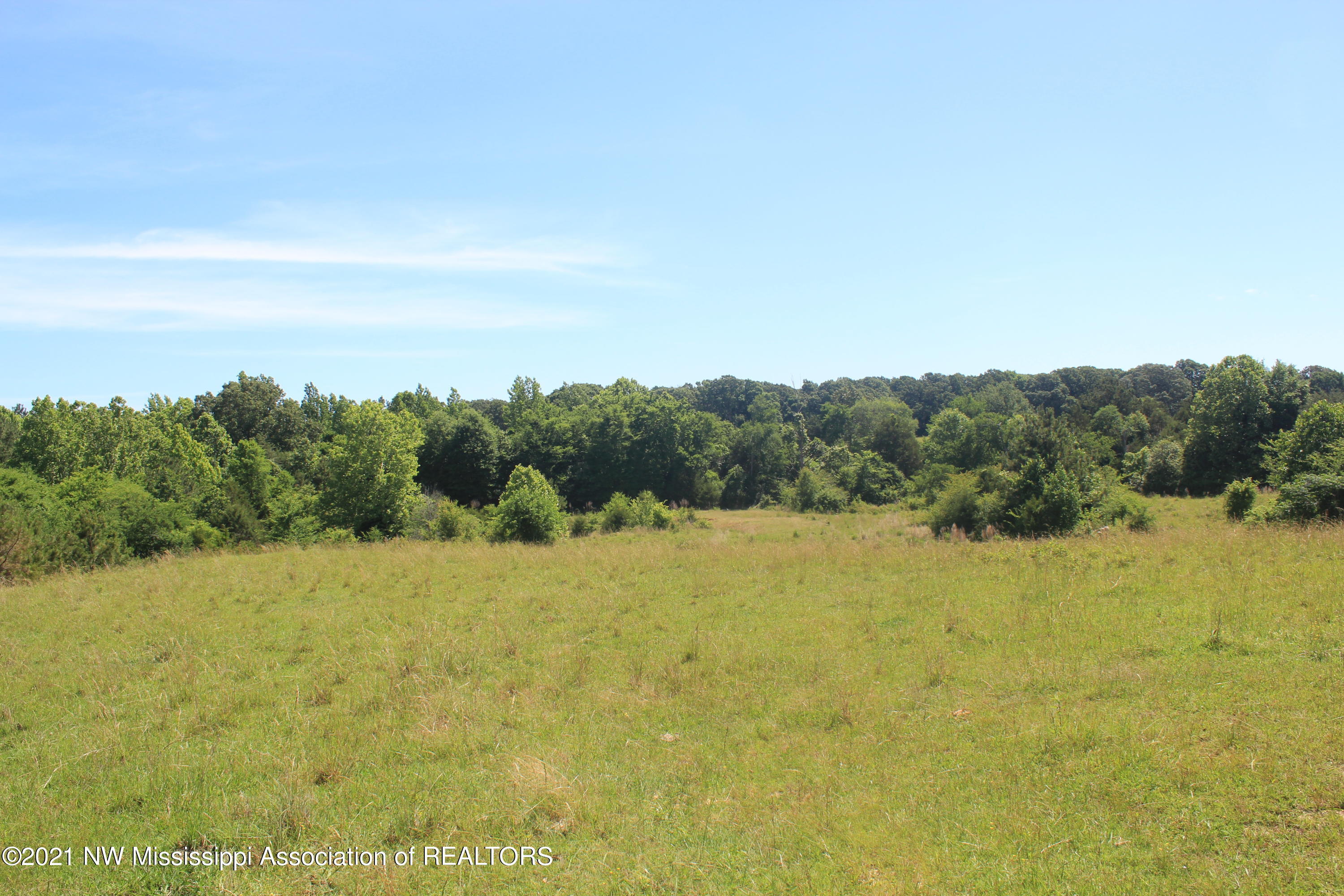 3 Watson Road Byhalia, MS 38611 - Photo 29 of 70 IMG_6716