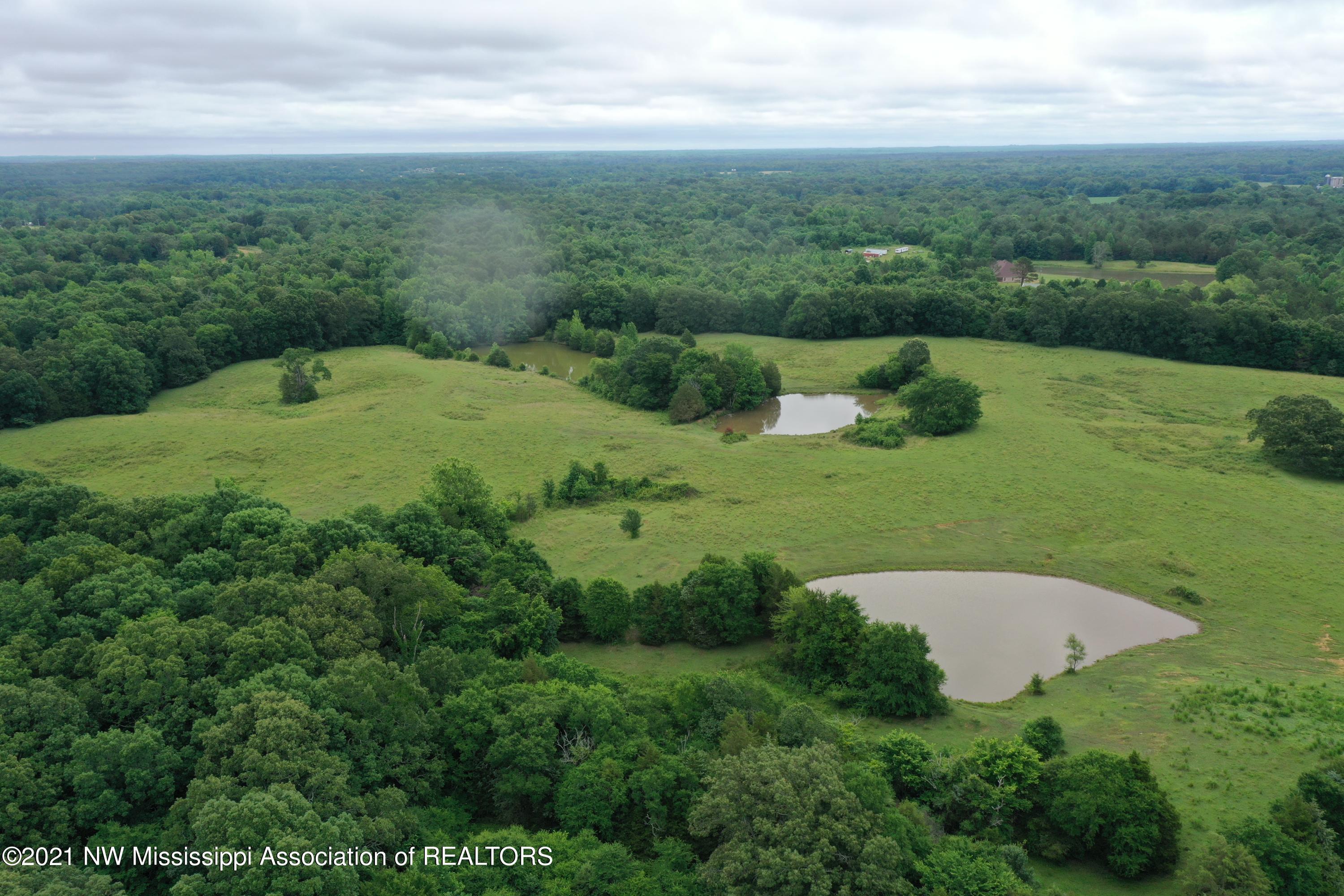 DJI_0360