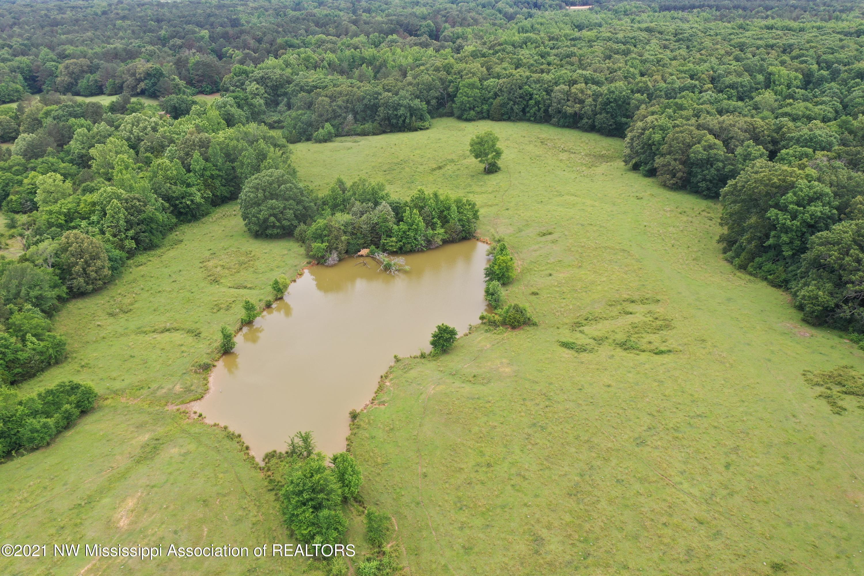 DJI_0361