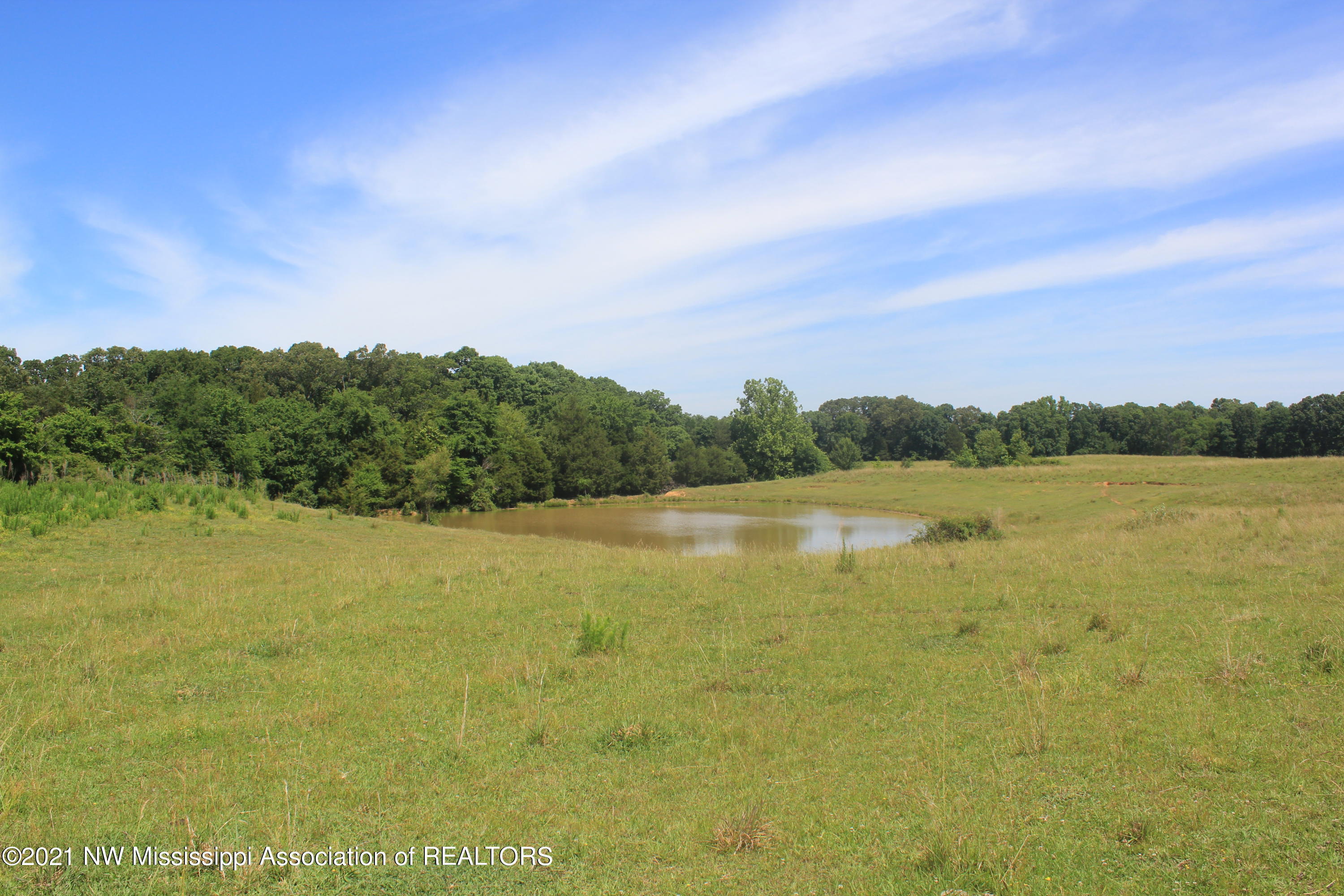 3 Watson Road Byhalia, MS 38611 - Photo 51 of 70 IMG_6739