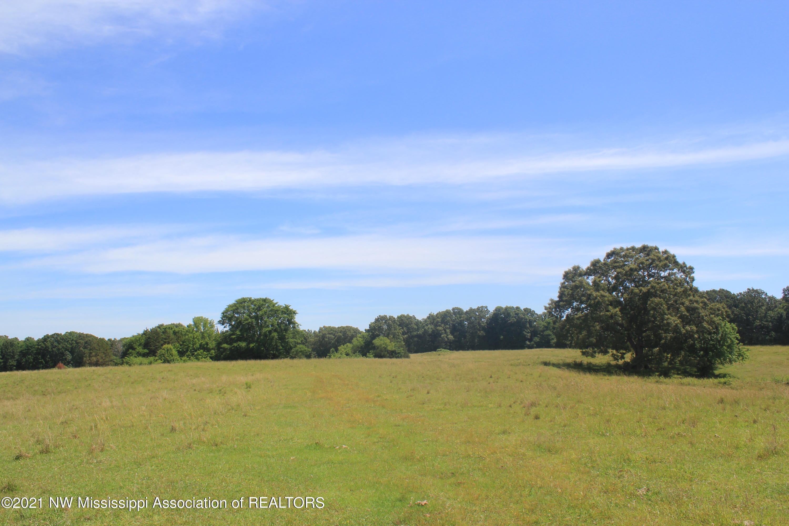 3 Watson Road Byhalia, MS 38611 - Photo 52 of 70 IMG_6740