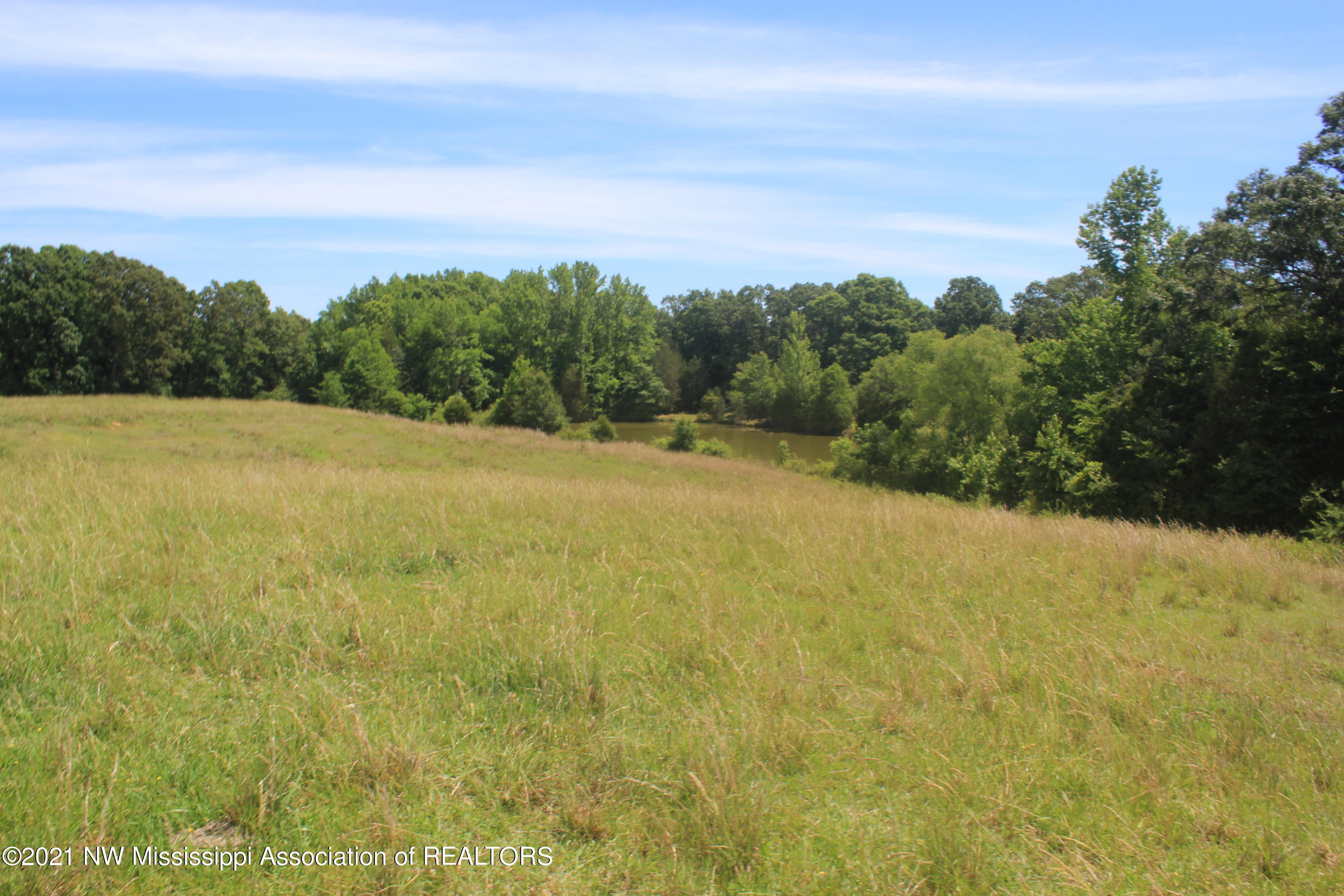 3 Watson Road Byhalia, MS 38611 - Photo 57 of 70 IMG_6746