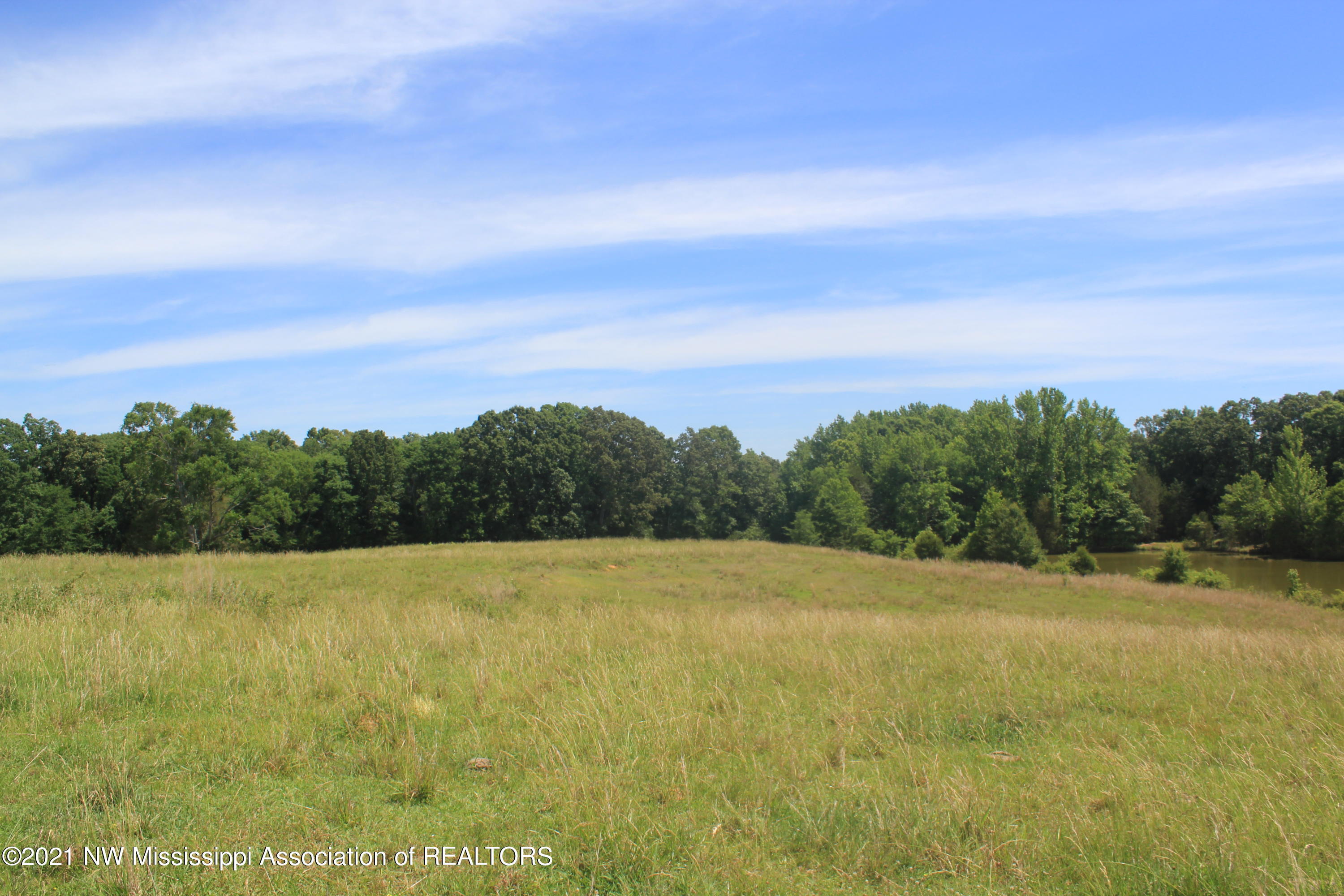 3 Watson Road Byhalia, MS 38611 - Photo 59 of 70 IMG_6749