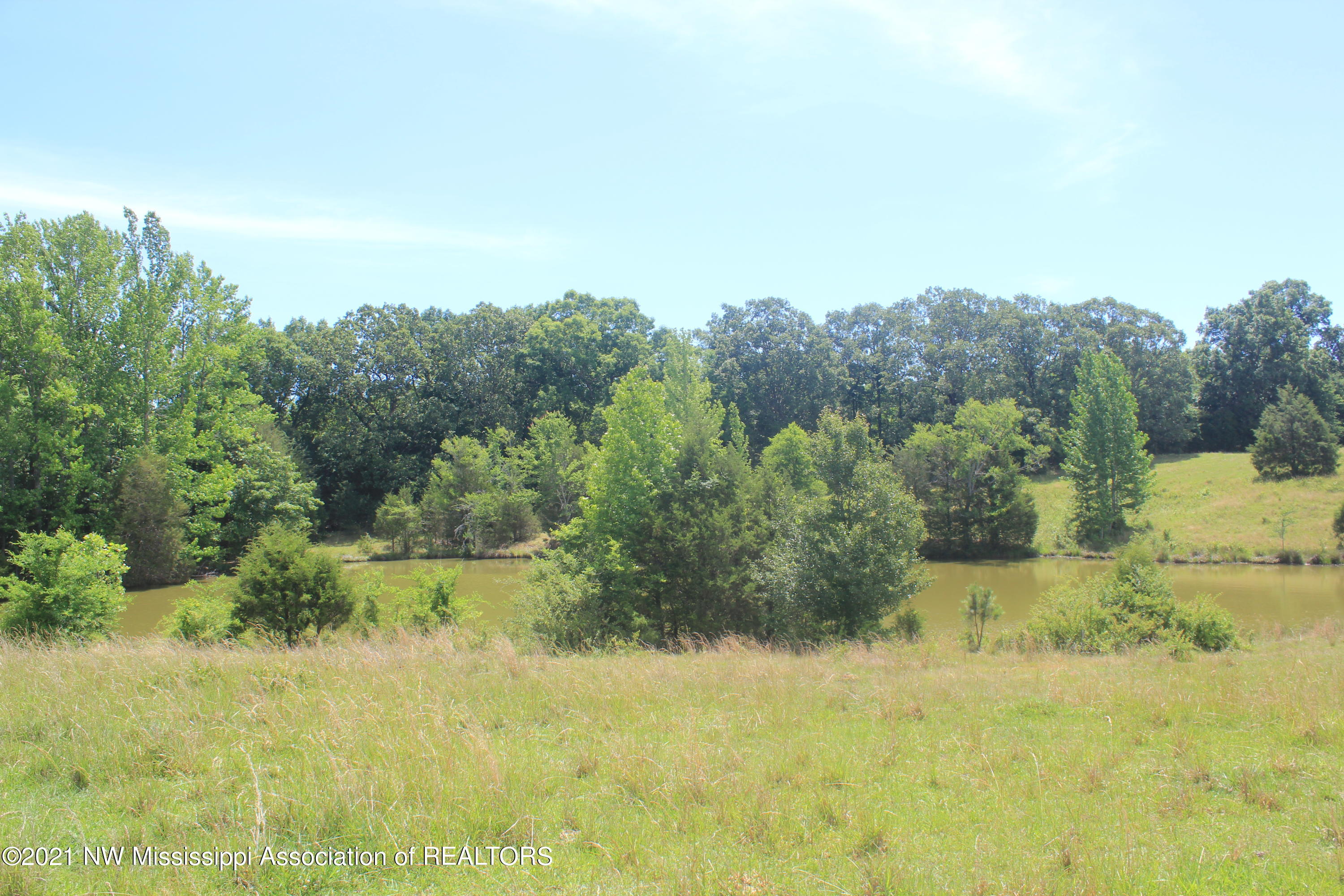 3 Watson Road Byhalia, MS 38611 - Photo 63 of 70 IMG_6753