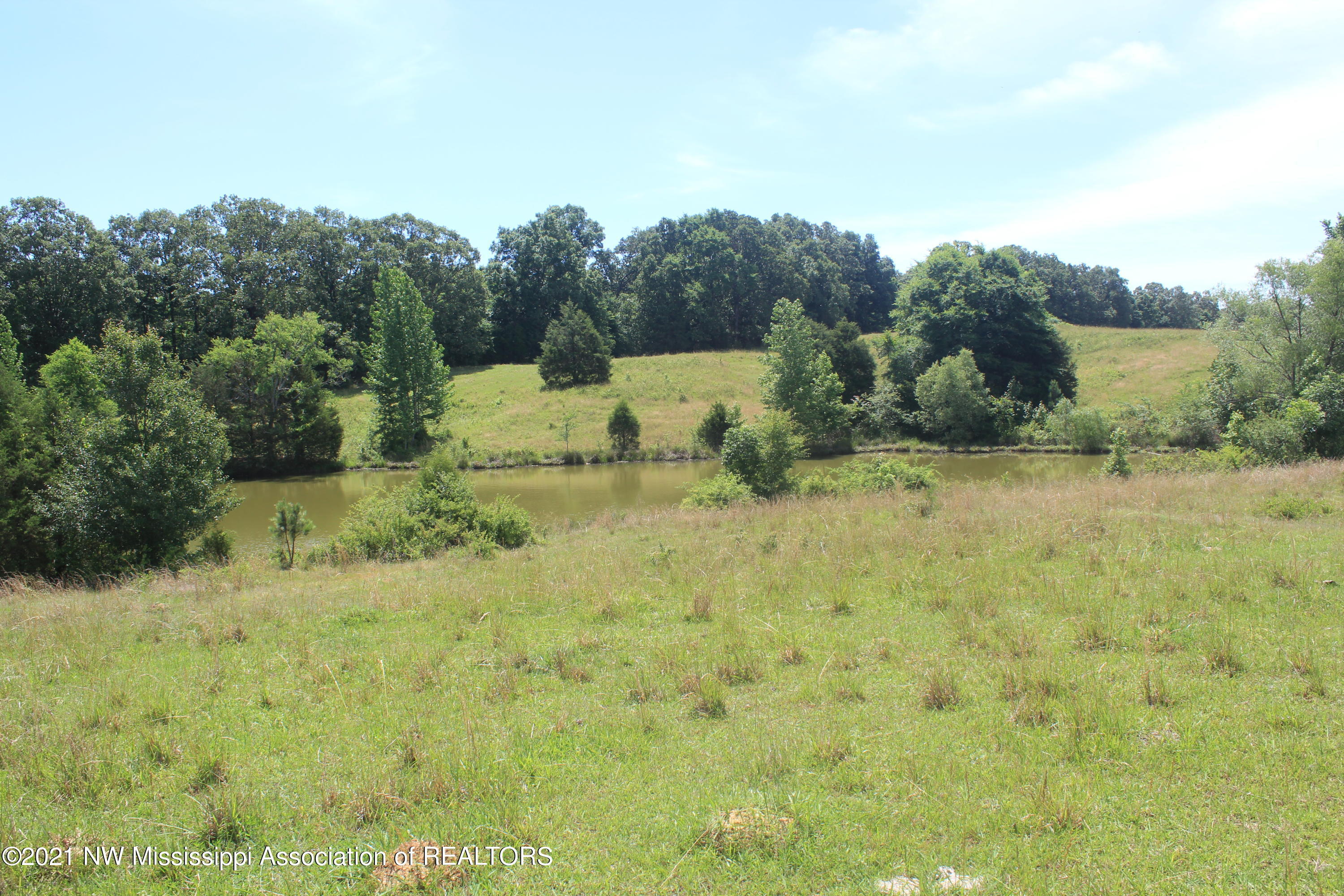 3 Watson Road Byhalia, MS 38611 - Photo 64 of 70 IMG_6754