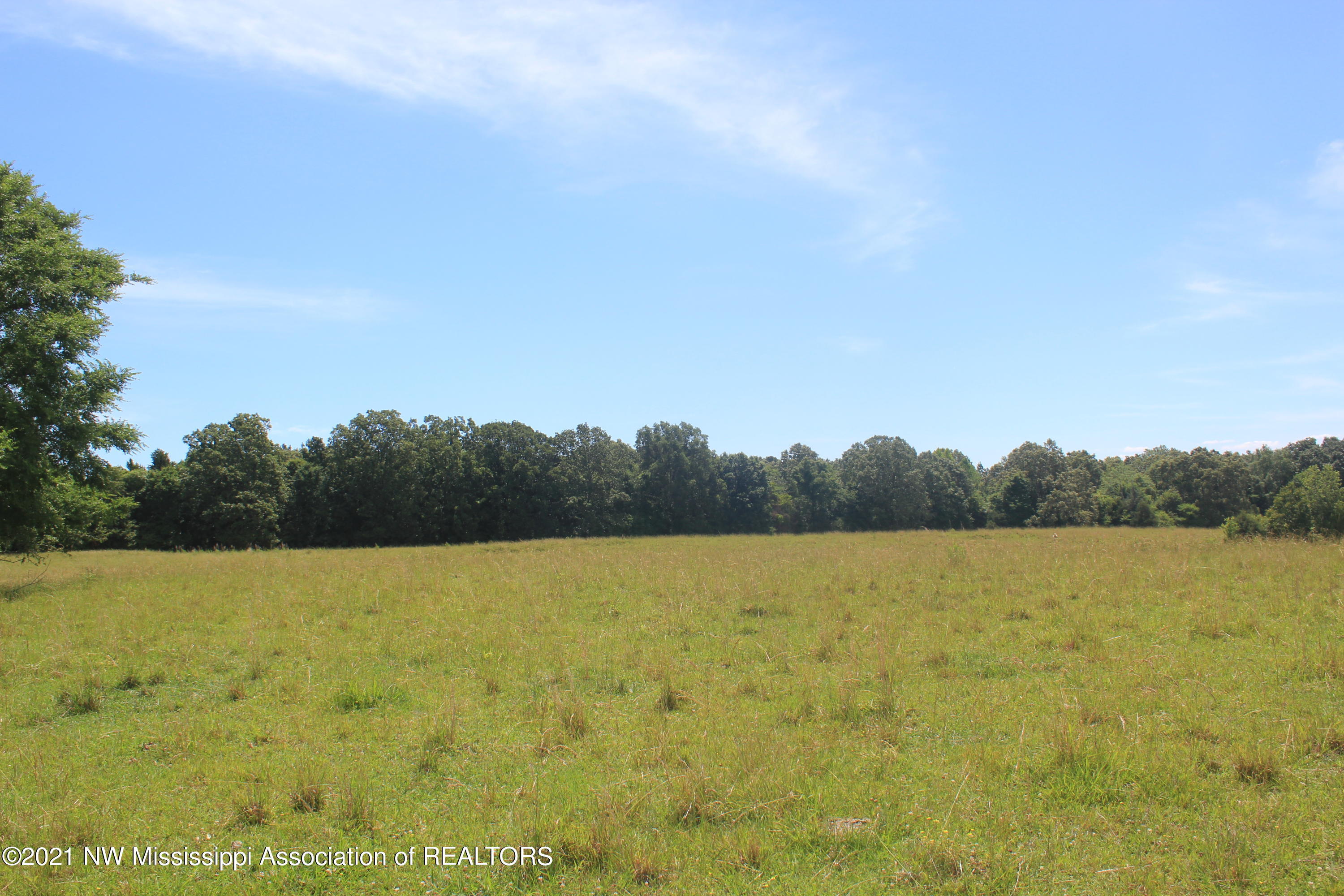 3 Watson Road Byhalia, MS 38611 - Photo 65 of 70 IMG_6755