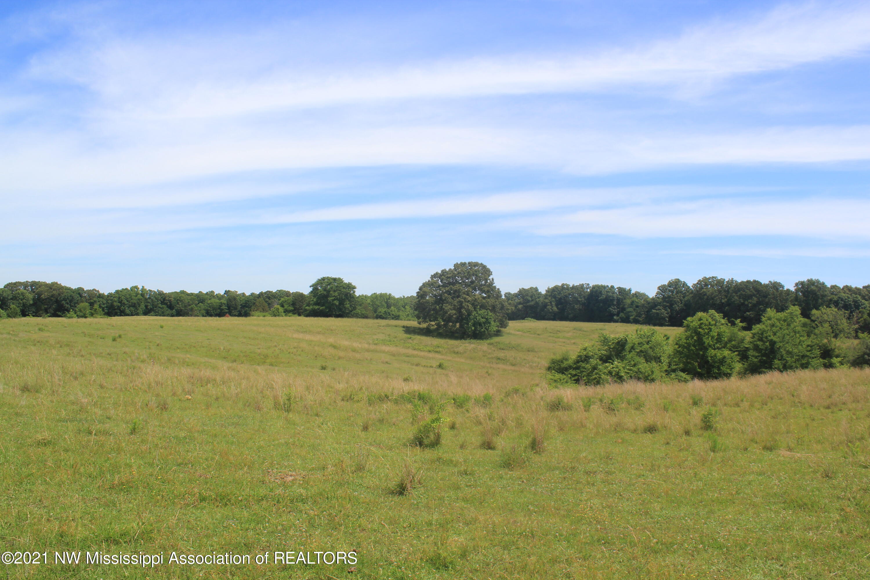 3 Watson Road Byhalia, MS 38611 - Photo 68 of 70 IMG_6758