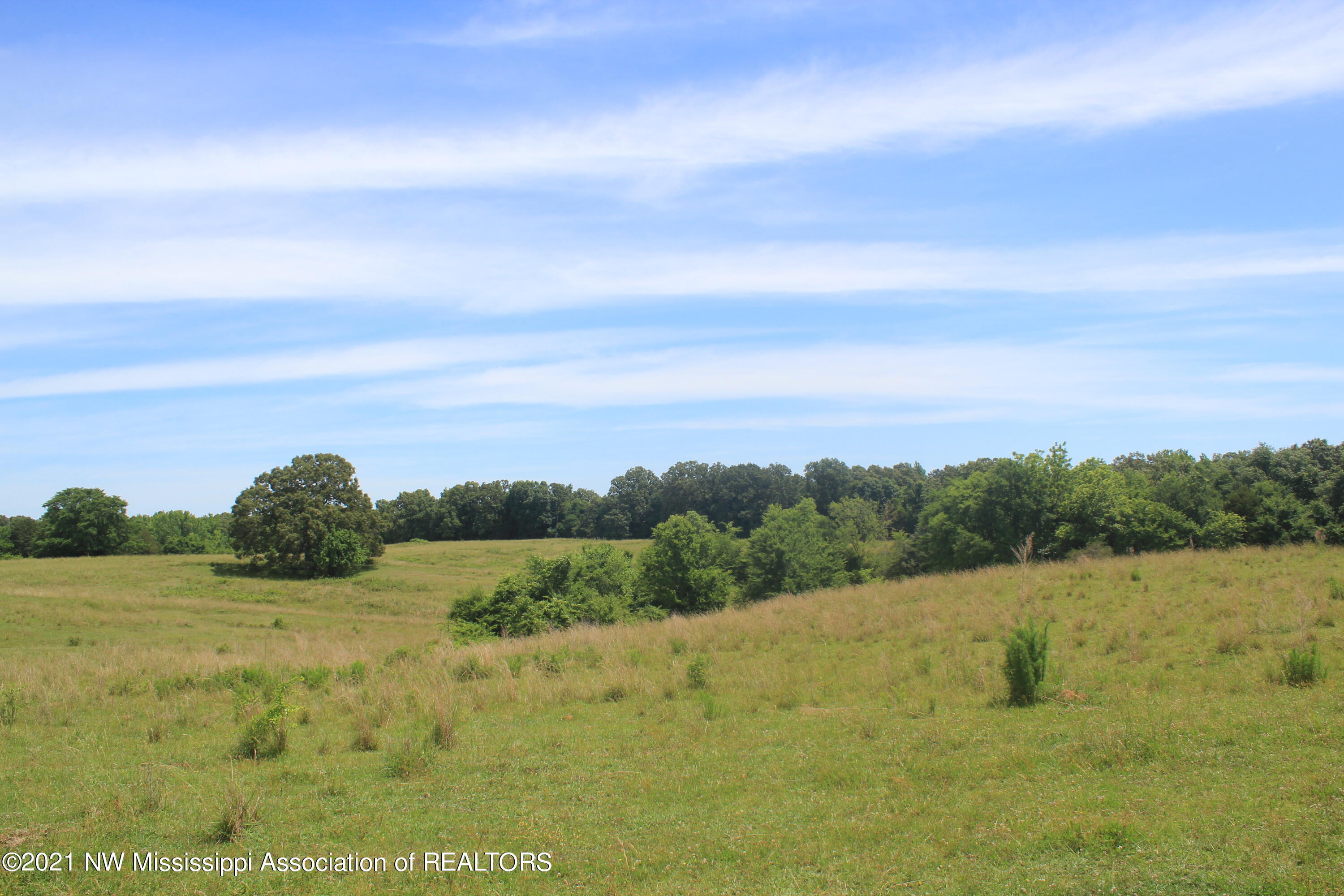 3 Watson Road Byhalia, MS 38611 - Photo 69 of 70 IMG_6759