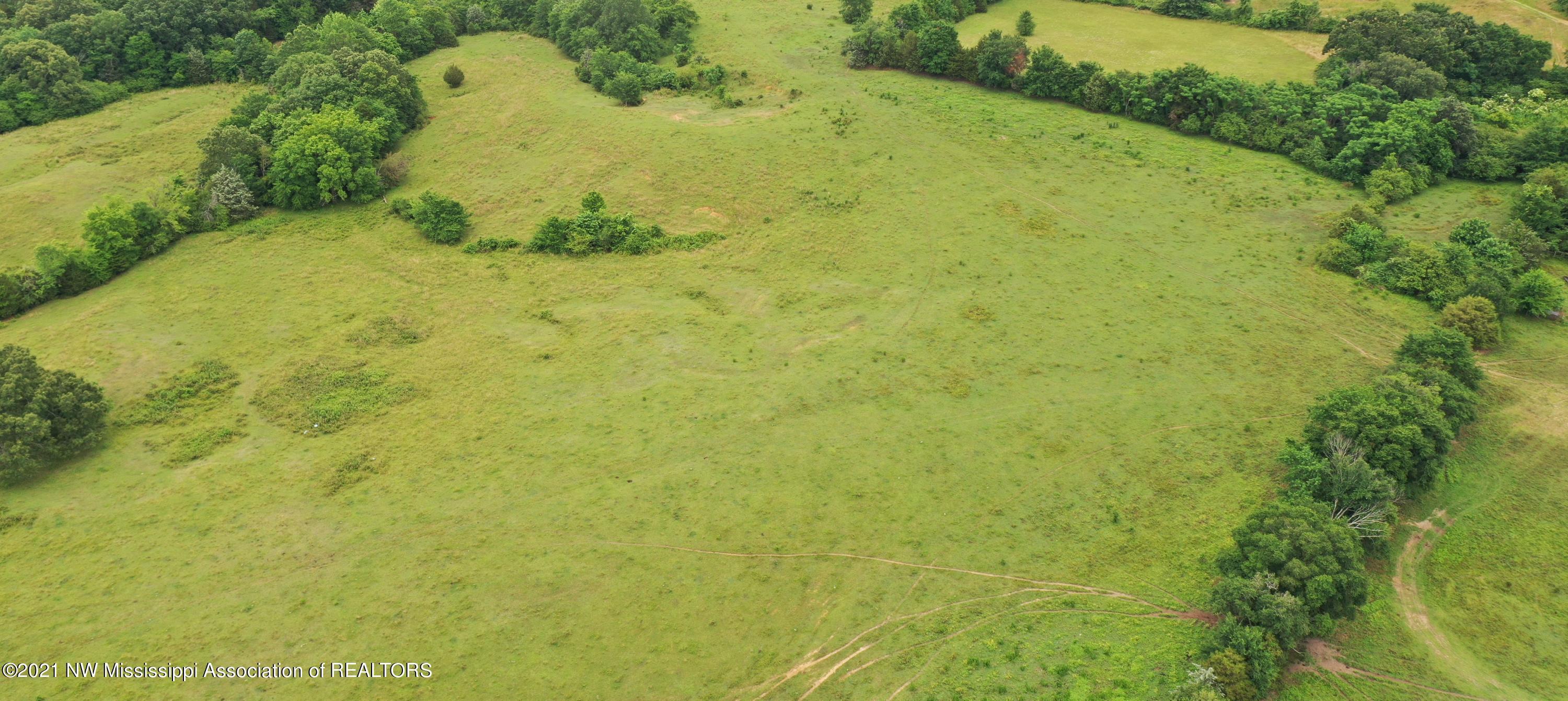 3 Watson Road Byhalia, MS 38611 - Photo 10 of 70 DJI_0366