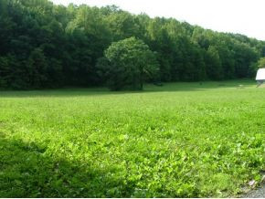 2890 Fishpond Road Chuckey, TN 37641 - Photo 1 of 6 Photo 1