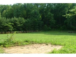 2890 Fishpond Road Chuckey, TN 37641 - Photo 5 of 6 Photo 5